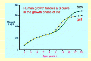 Human growth curve