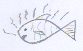 Rule 2 - fish head